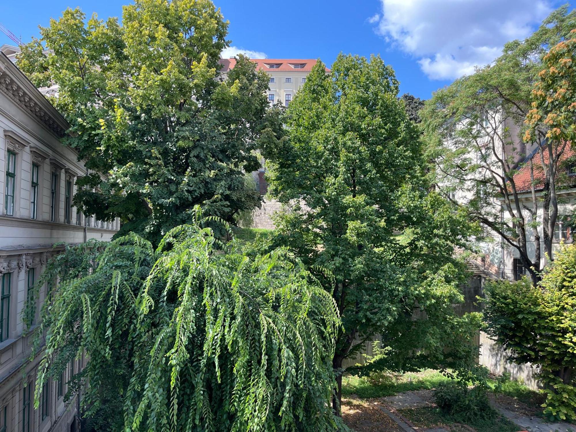 Sunny Studio At The Castle Βουδαπέστη Εξωτερικό φωτογραφία